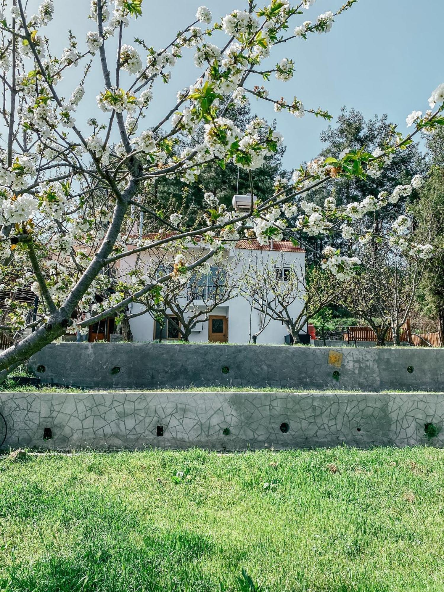 Milea Mansion Villa Limassol Luaran gambar